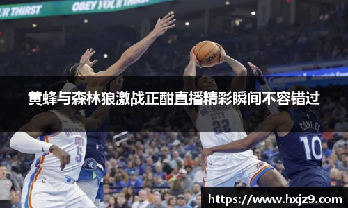 黄蜂与森林狼激战正酣直播精彩瞬间不容错过